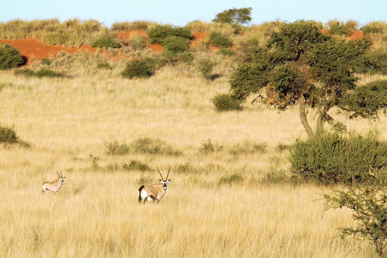 Gondwana Kalahari Anib Lodge Hardap Eksteriør bilde