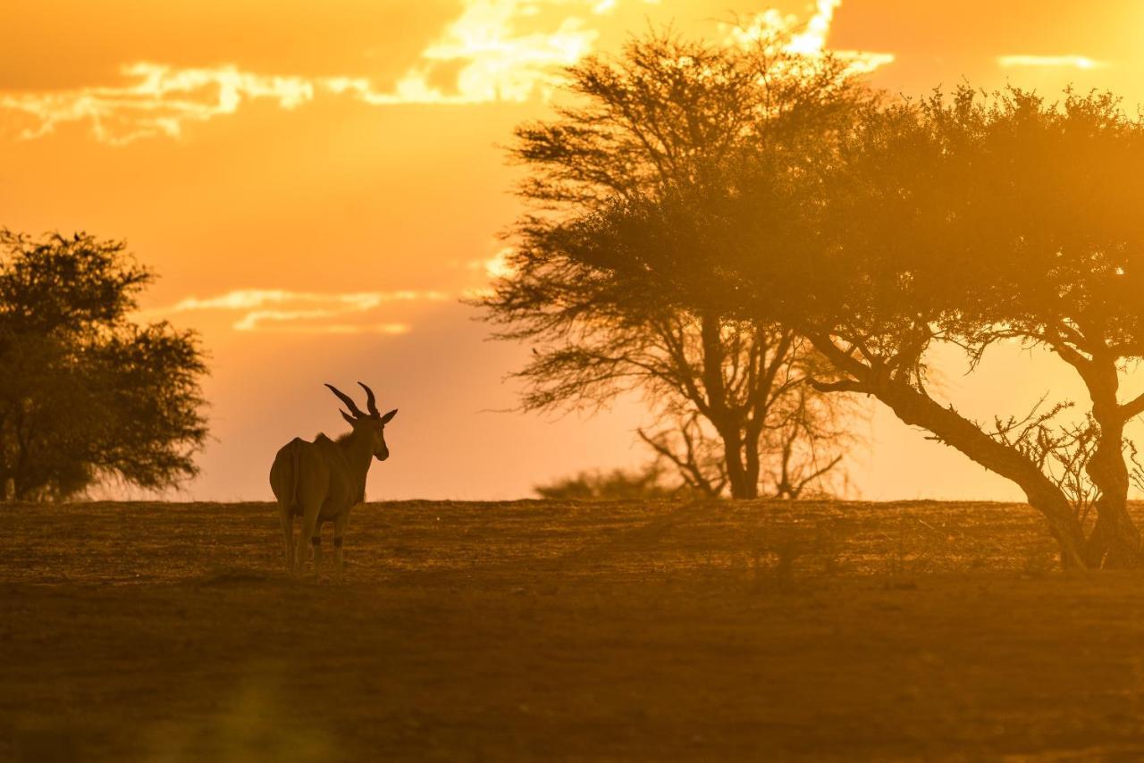 Gondwana Kalahari Anib Lodge Hardap Eksteriør bilde